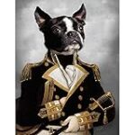 Comparaison des âges humains et canins : le tableau de référence pour mieux comprendre votre compagnon à quatre pattes