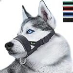 Les meilleures muselières anti-aboiement pour chiens : Analyse et comparaison des produits pour animaux de compagnie Les meilleures muselières anti-aboiement pour chiens : Analyse et comparaison des produits pour animaux de compagnie