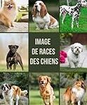 Alzheimer chez le chien : Quels sont les meilleurs produits pour accompagner votre animal ? Alzheimer chez le chien : Quels sont les meilleurs produits pour accompagner votre animal ?