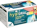 Hyaloral Chien : Avis et Comparaison avec les Meilleurs Produits pour Animaux de Compagnie