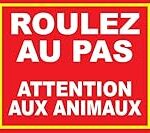 Comparatif des meilleurs panneaux pour animaux de compagnie : Comment choisir le plus adapté à vos compagnons