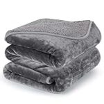 Comparaison des meilleurs produits pour chien Sherpa : Trouvez le confort ultime pour votre fidèle compagnon !