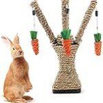 Top 5 des aires de jeu pour lapin : Comparatif et Guide d'Achat complet