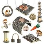 Les Meilleurs Jouets pour Rat : Analyse et Comparaison pour Votre Animal de Compagnie