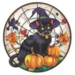 Les bienfaits de la citrouille pour votre chat : Analyse et comparaison des meilleurs produits pour animaux de compagnie