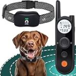 Comparaison des meilleurs colliers avec périmètre pour chien : Guide d'achat pour vos animaux de compagnie Comparaison des meilleurs colliers avec périmètre pour chien : Guide d'achat pour vos animaux de compagnie