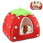 Les Meilleurs Produits pour Cochon d'Inde Nain : Guide d'Analyse et de Comparaison