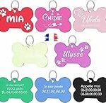 Comparatif des meilleurs colliers porte-médaille pour chien : le choix idéal pour votre compagnon à quatre pattes