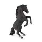 Le cheval qui sourit : Guide d'analyse et de comparaison des meilleurs produits pour les amis équins