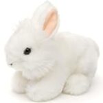 Les Meilleurs Produits pour Lapin Angora Blanc: Analyse et Comparaison