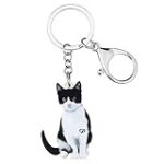 Les Meilleurs Produits pour Chat Bicolore Noir et Blanc: Comparaison et Analyse