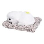 Les Meilleurs Produits pour Chiots Pékinois à Donner: Analyse et Comparaison