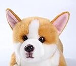 Chiot Corgi à Vendre : Comparaison des Meilleurs Produits pour Accueillir Votre Nouveau Compagnon