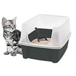 Comparatif des meilleurs produits pour chat Iris : Trouvez le bon choix pour votre félin ! Comparatif des meilleurs produits pour chat Iris : Trouvez le bon choix pour votre félin !