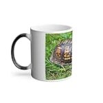 Guide d'achat pour tortues noires et jaunes : Comparaison des meilleurs produits pour vos animaux de compagnie