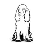 Les Meilleurs Produits pour Cocker Spaniel Noir et Feu: Analyse et Comparaison