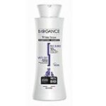 Les essentiels pour chaton sibérien blanc : comparaison des meilleurs produits pour animaux de compagnie