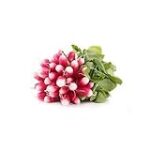 Les fanes de radis pour lapin : Quels produits choisir pour une alimentation saine et équilibrée ?