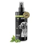Les meilleurs produits pour chiens qui ne perdent pas leurs poils : comparatif et analyse