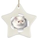 Guide d'achat pour chat himalayen blanc : Comparaison des meilleurs produits pour animaux de compagnie