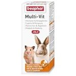 Les Meilleurs Concombres pour Lapin Nain : Analyse et Comparaison des Produits Adaptés aux Animaux de Compagnie
