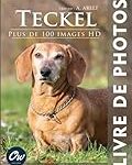 Guide complet pour l'élevage de teckel poil dur: Analyse des meilleurs produits pour votre animal de compagnie Guide complet pour l'élevage de teckel poil dur: Analyse des meilleurs produits pour votre animal de compagnie