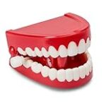 Les meilleurs produits pour animaux de compagnie pour une dent définitive qui bouge : Analyse et comparaison