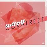 Top produits pour animaux de compagnie : Analyse et comparaison des accessoires indispensables pour votre ocellaris