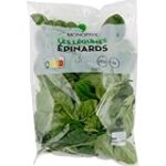 Les meilleurs produits d'épinard pour votre tortue : comparaison et analyse Les meilleurs produits d'épinard pour votre tortue : comparaison et analyse