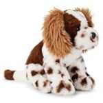 Les Meilleurs Produits pour Animaux de Compagnie pour Springer Spaniel Tricolore: Guide d'Analyse et de Comparaison
