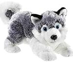 Comparaison des prix du chien loup américain : Trouvez les meilleurs produits pour votre animal de compagnie