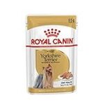 Guide d'achat pour mini mini yorkshire terrier : Les meilleurs produits pour choyer votre petit compagnon
