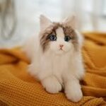Les meilleurs chats en peluche pour personne âgée : comparaison et analyse des produits pour animaux de compagnie Les meilleurs chats en peluche pour personne âgée : comparaison et analyse des produits pour animaux de compagnie