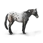 Comparaison des prix des chevaux Appaloosa : Trouvez le meilleur rapport qualité-prix pour votre animal de compagnie!