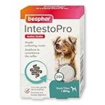 Les meilleurs produits pour animaux de compagnie pour aider en cas de sang dans les selles du chien