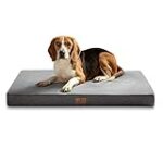 Chien à donner 74 : Comparaison des meilleurs produits pour votre nouvel ami à quatre pattes