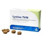 Comparatif des meilleurs suppléments de lysine TVM pour animaux de compagnie : lequel choisir pour votre compagnon ?