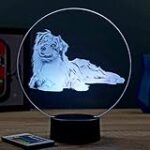 Les meilleures couleurs pour un berger australien : Guide d'analyse et de comparaison des produits pour animaux de compagnie