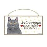 Comparaison des meilleurs produits pour chat Chartreux gratuit : guide d'achat complet