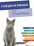 Guide d'adoption de chaton Chartreux : comparaison des meilleurs produits pour votre nouveau compagnon à quatre pattes