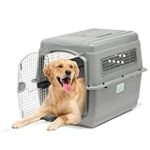 Les meilleurs produits pour animaux de compagnie : Analyse et comparaison des produits Beeztees