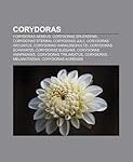 Les meilleurs produits pour les Corydoras trilineatus: Analyse et comparaison