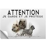 Guide d'achat pour chiots Cairn Terrier à vendre : Comparatif des meilleurs produits pour accueillir votre nouveau compagnon à quatre pattes Guide d'achat pour chiots Cairn Terrier à vendre : Comparatif des meilleurs produits pour accueillir votre nouveau compagnon à quatre pattes
