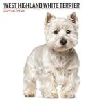 Les meilleurs produits pour chiots Westie : Comparaison et analyse pour votre fidèle compagnon