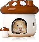 Où acheter un hamster doré : Guide d'analyse et de comparaison des meilleurs produits pour animaux de compagnie