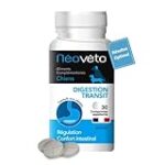 Schéma de l'appareil digestif du chien : Comparaison des meilleurs produits pour une digestion optimale
