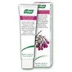 Trouvez le meilleur vétérinaire à Saint-Symphorien pour prendre soin de votre animal de compagnie !