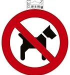 Les produits interdits au chien : analyse et comparaison des alternatives pour votre animal de compagnie