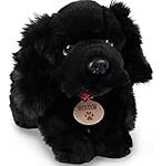 Comparatif des meilleurs produits pour animaux de compagnie pour Epagneul Noir