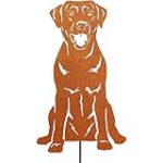 Analyse et comparaison des meilleurs produits pour animaux de compagnie pour un croisement Rottweiler-Labrador